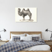 Brodtmann Camel Sketch Canvas Afdruk (Insitu (Slaapkamer))