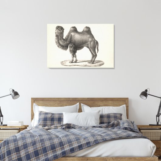 Brodtmann Camel Sketch Canvas Afdruk (Insitu (Slaapkamer))