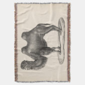 Brodtmann Camel Sketch Deken (Voorkant Verticaal)