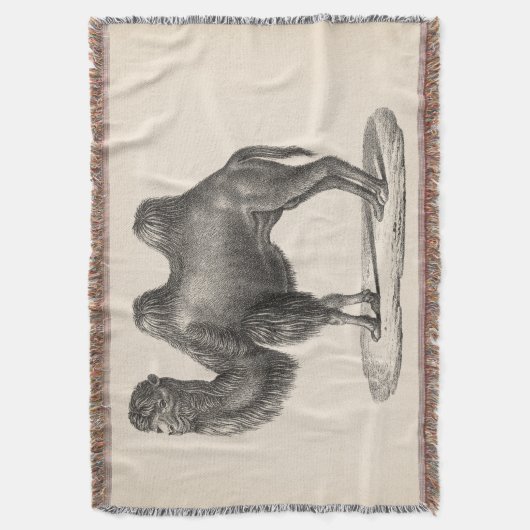 Brodtmann Camel Sketch Deken (Voorkant Verticaal)