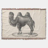 Brodtmann Camel Sketch Deken (Voorkant)