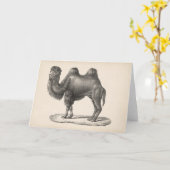 Brodtmann Camel Sketch Kaart (Gele Bloem)