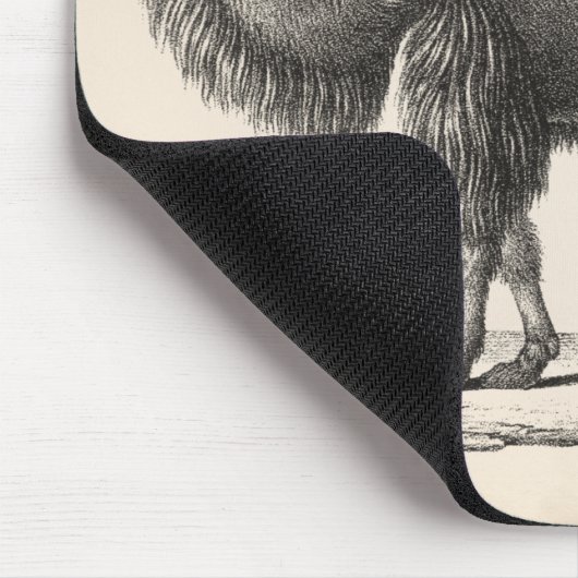 Brodtmann Camel Sketch Muismat (Hoek)