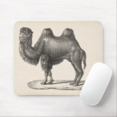 Brodtmann Camel Sketch Muismat (Met muis)