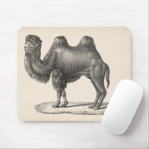 Brodtmann Camel Sketch Muismat