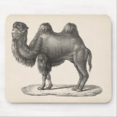 Brodtmann Camel Sketch Muismat (Voorkant)