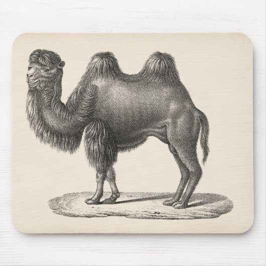 Brodtmann Camel Sketch Muismat (Voorkant)