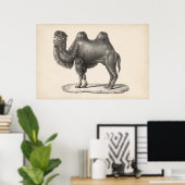Brodtmann Camel Sketch Poster (Thuiskantoor)