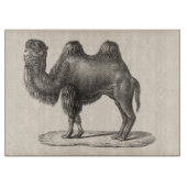 Brodtmann Camel Sketch Snijplank (Voorkant)