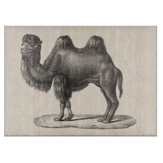 Brodtmann Camel Sketch Snijplank (Voorkant)