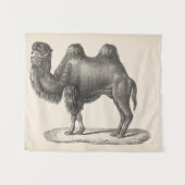 Brodtmann Camel Sketch Wandkleed (Voorkant (horizontaal))