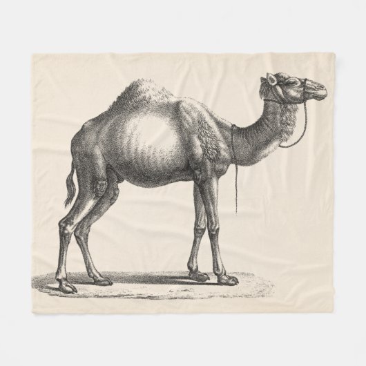 Brodtmann Dromedary Camel Sketch Fleece Deken (Voorkant (Horizontaal))
