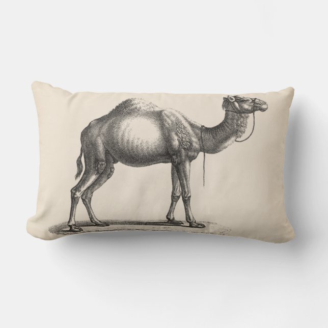 Brodtmann Dromedary Camel Sketch Kussen (Voorkant)