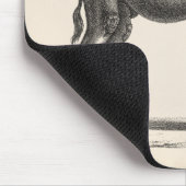 Brodtmann Dromedary Camel Sketch Muismat (Hoek)