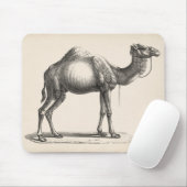 Brodtmann Dromedary Camel Sketch Muismat (Met muis)