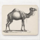 Brodtmann Dromedary Camel Sketch Muismat (Voorkant)