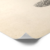 Brodtmann Dromedary Camel Sketch Poster (Hoek)