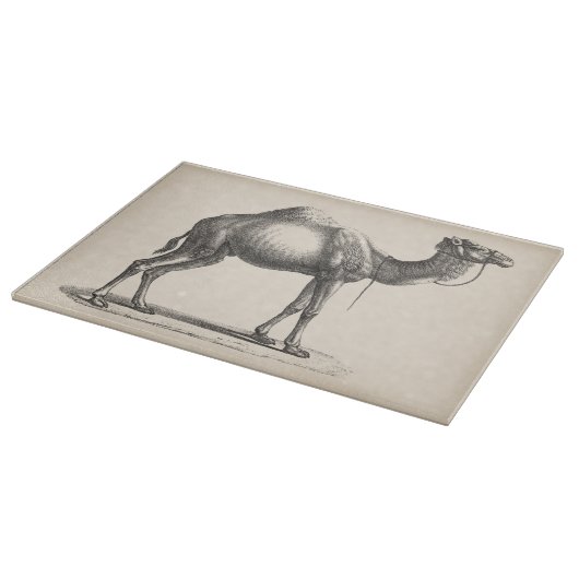 Brodtmann Dromedary Camel Sketch Snijplank (Hoek)