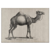 Brodtmann Dromedary Camel Sketch Snijplank (Voorkant)