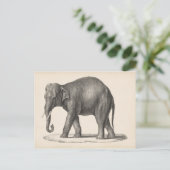 Brodtmann Elephant Sketch Briefkaart (Staand voorkant)