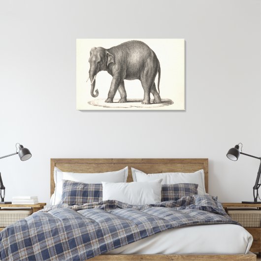 Brodtmann Elephant Sketch Canvas Afdruk (Insitu (Slaapkamer))