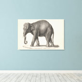 Brodtmann Elephant Sketch Canvas Afdruk (Insitu (Houten vloer))