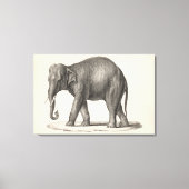 Brodtmann Elephant Sketch Canvas Afdruk (Voorkant)
