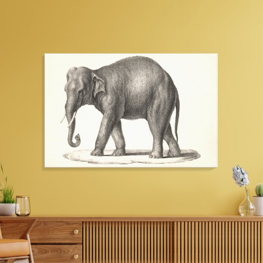 Brodtmann Elephant Sketch Canvas Afdruk (Insitu (Woonkamer))