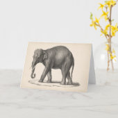 Brodtmann Elephant Sketch Kaart (Gele Bloem)