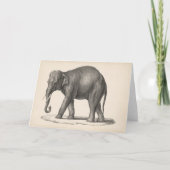 Brodtmann Elephant Sketch Kaart (Voorkant)