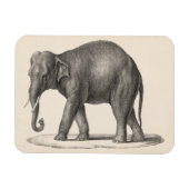 Brodtmann Elephant Sketch Magneet (Horizontaal)