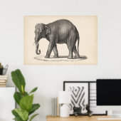 Brodtmann Elephant Sketch Poster (Thuiskantoor)