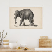 Brodtmann Elephant Sketch Poster (Keuken)
