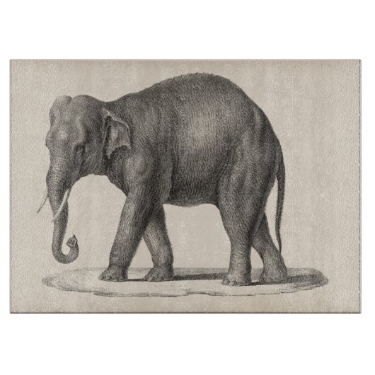 Brodtmann Elephant Sketch Snijplank (Voorkant)