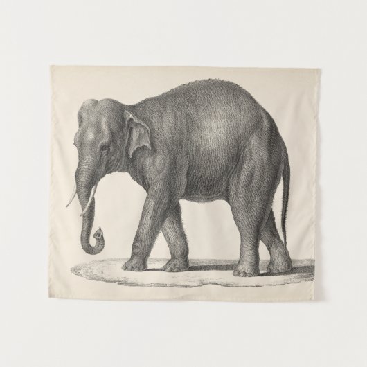 Brodtmann Elephant Sketch Wandkleed (Voorkant (horizontaal))