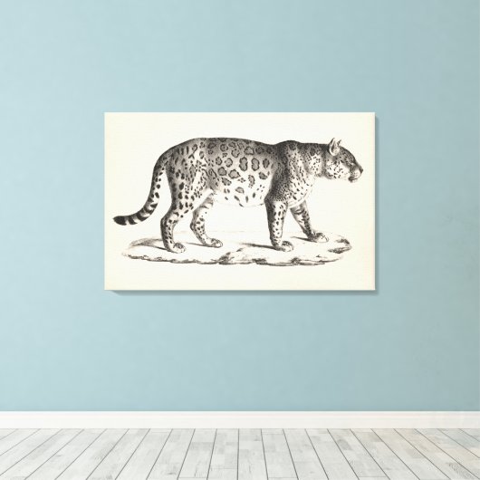 Brodtmann Leopard Sketch Canvas Afdruk (Insitu (Houten vloer))