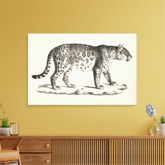 Brodtmann Leopard Sketch Canvas Afdruk (Insitu (Woonkamer))