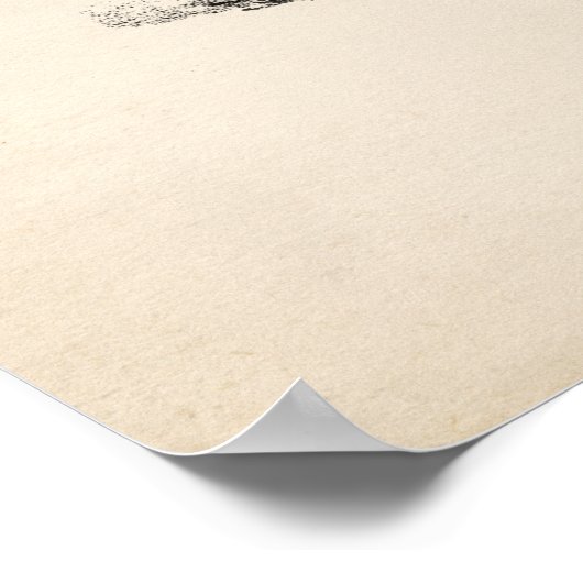 Brodtmann Leopard Sketch Poster (Hoek)