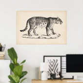 Brodtmann Leopard Sketch Poster (Thuiskantoor)