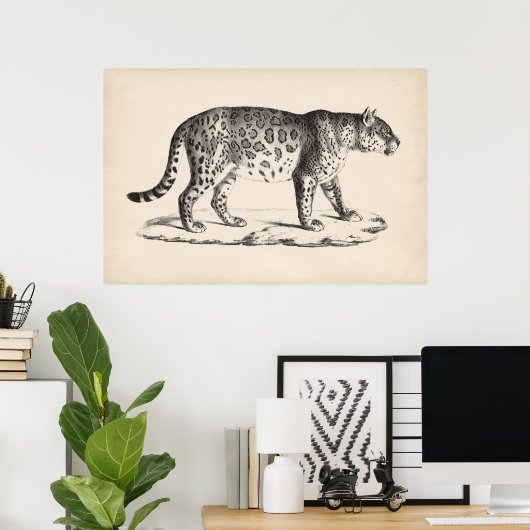Brodtmann Leopard Sketch Poster (Thuiskantoor)