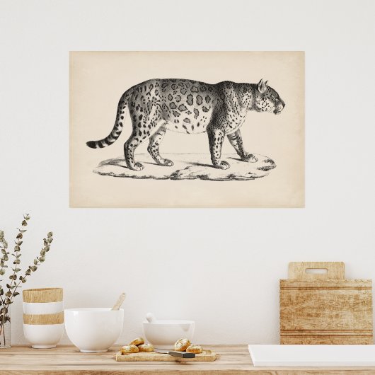 Brodtmann Leopard Sketch Poster (Keuken)