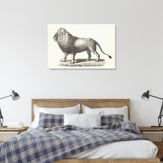 Brodtmann Lion Sketch Canvas Afdruk (Insitu (Slaapkamer))