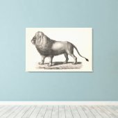 Brodtmann Lion Sketch Canvas Afdruk (Insitu (Houten vloer))