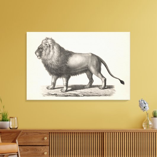 Brodtmann Lion Sketch Canvas Afdruk (Insitu (Woonkamer))