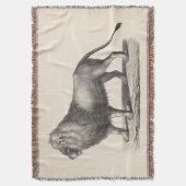 Brodtmann Lion Sketch Deken (Voorkant Verticaal)