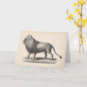 Brodtmann Lion Sketch Kaart (Gele Bloem)