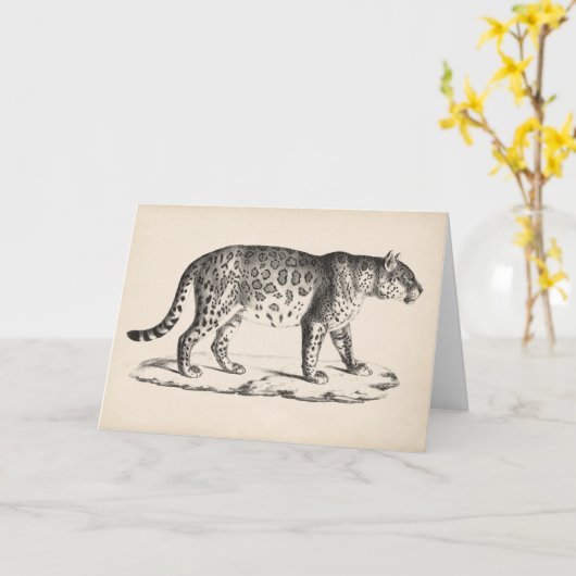 Brodtmann Lopard Kaart (Gele Bloem)