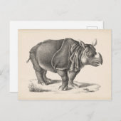 Brodtmann Rhinoceros Sketch Briefkaart (Voorkant / Achterkant)