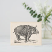 Brodtmann Rhinoceros Sketch Briefkaart (Staand voorkant)