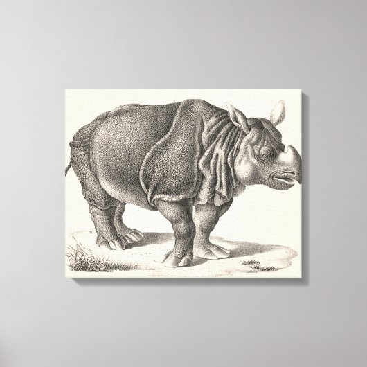 Brodtmann Rhinoceros Sketch Canvas Afdruk (Voorkant)